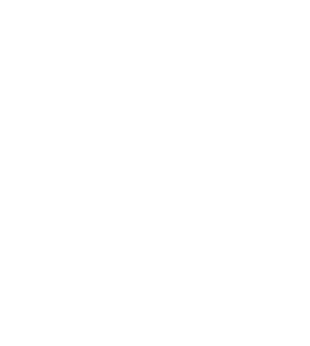 Object